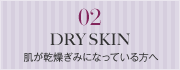 02 DRY SKIN